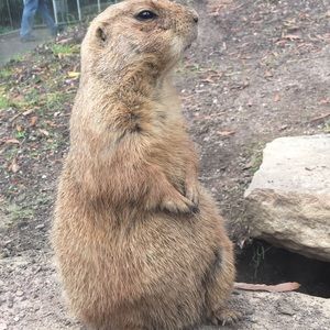 Meet your Posher, Debra